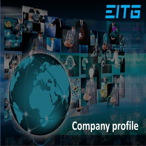 Euro IT Group Company Profile