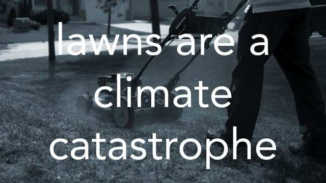 Rethinking lawns: natural climate solutions