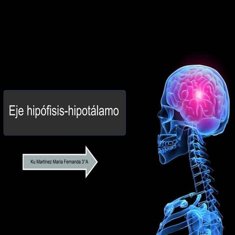 Eje hipífósis-hipotálamo