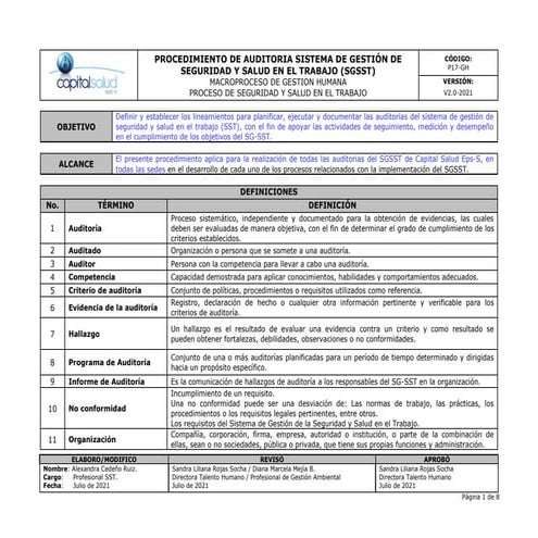 PLAN DE AUDITORIA INTERNA ISO 45001 | PDF