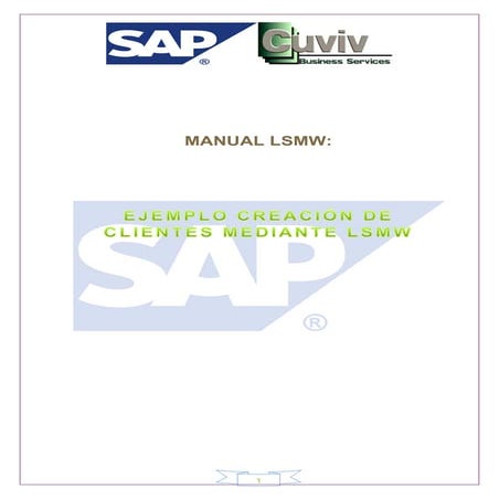 Ejemplo creación de clientes mediante lsmw