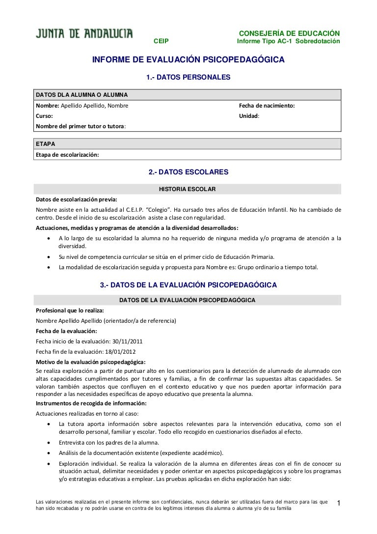 Ejemplo De Informe Ac