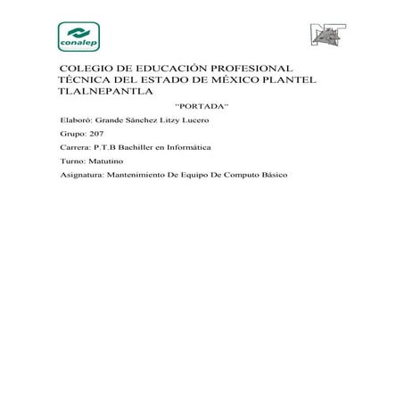 Formato preventivo del pc | PDF