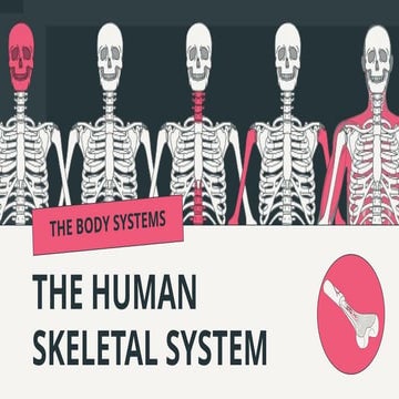 EJEMPLO O PLANTILLA.pptx PARA anatomia etc