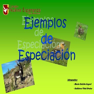 Ejemplos de especiación