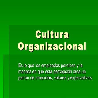 Eje nº 2 cultura organizacional