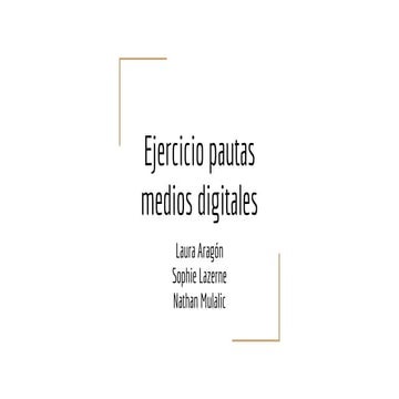 Ejercicio pautas medios digitales