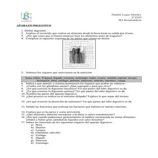 Ejercicios aparato digestivo