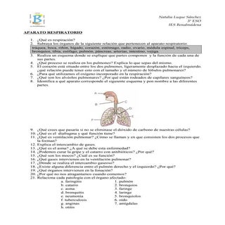 Ejercicios Aparato Respiratorio