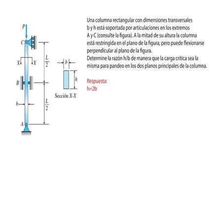 Ejercicios tutoria 13