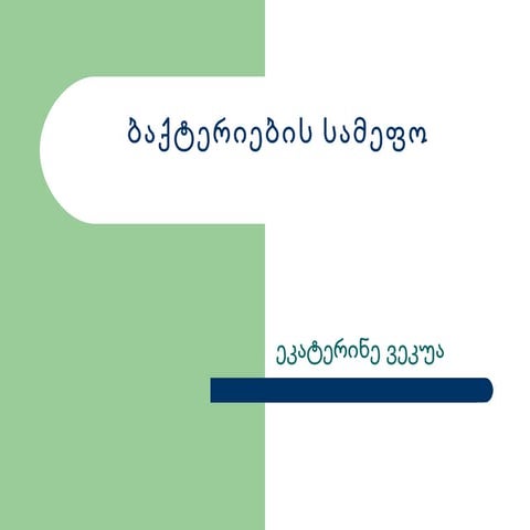 ბაქტერიები