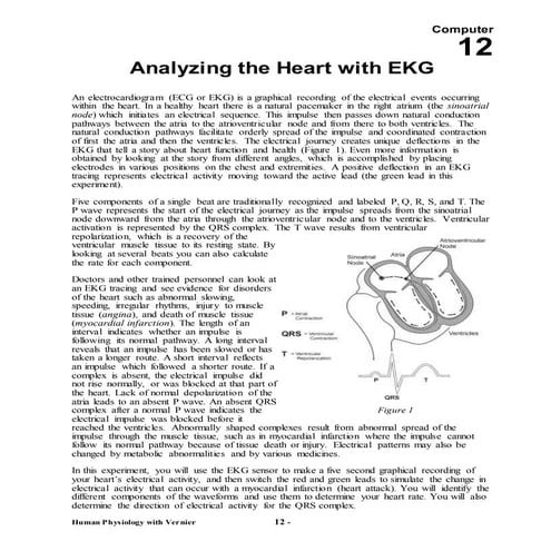 Ekg technician textbook | PDF