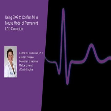 Using EKG to Confirm MI in Mouse Model of Permanent LAD Occlusion | PPTX