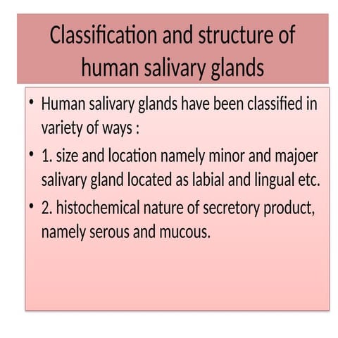 Development of Salivary Glands by Dr. Rabia Inam Gandapore.pptx