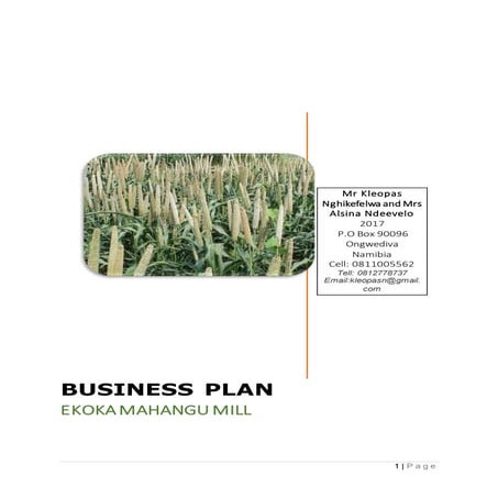 Ekoka mahangu mills business plan