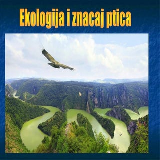 Ekologija i znacaj ptica 