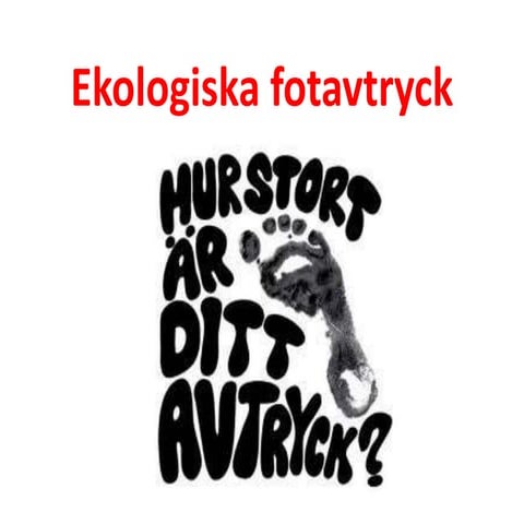 Ekologiska fotavtryck