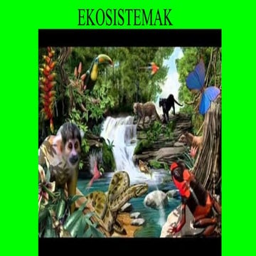 Ekosistema.4.taldea.mendi