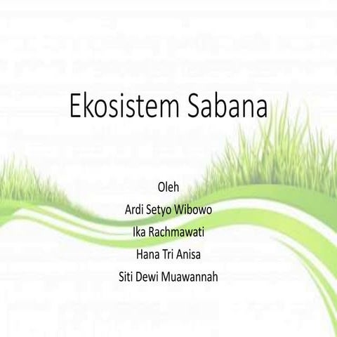 Ekosistem Sabana