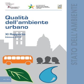 XI rapporto Ispra qualita ambiente ...