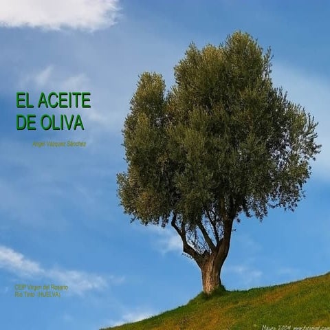 El Aceite de Oliva