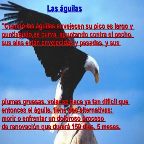 El Aguila
