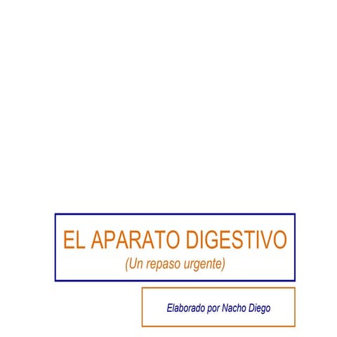 El aparato digestivo