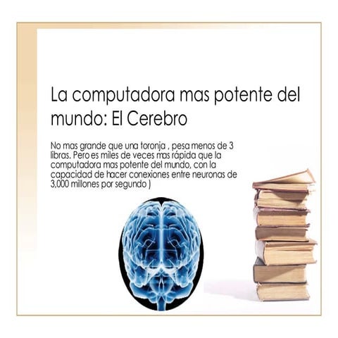 El Cerebro