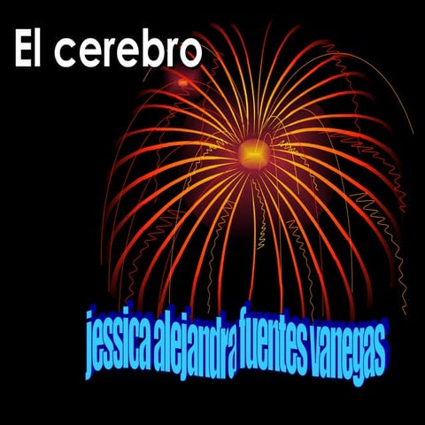 El cerebro2228