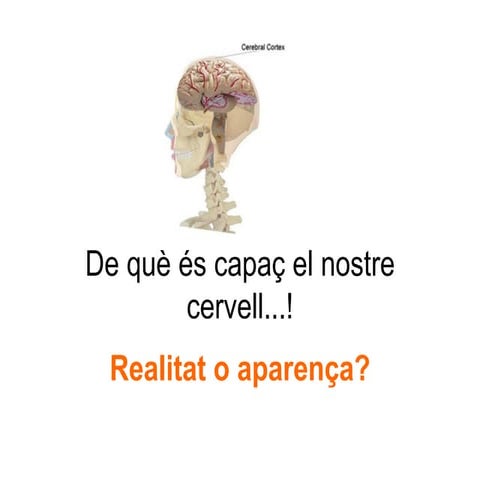 El cervell