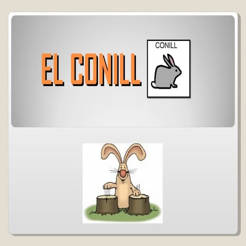 El Conill