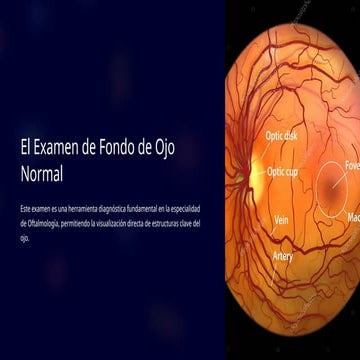 Fondo de ojo_normal_-_dr._jose_miguel_ried | PDF