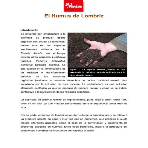 PRODUCCIÓN DE HUMUS.pptx