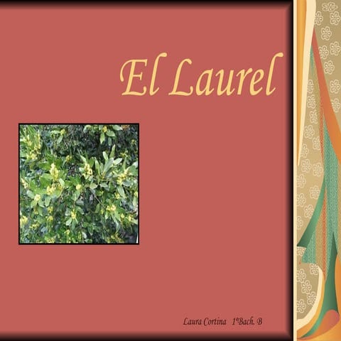El Laurel