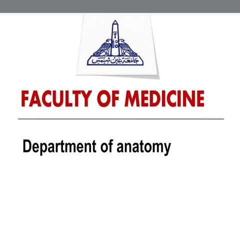 El nefiawy nagwa radiographic anatomy