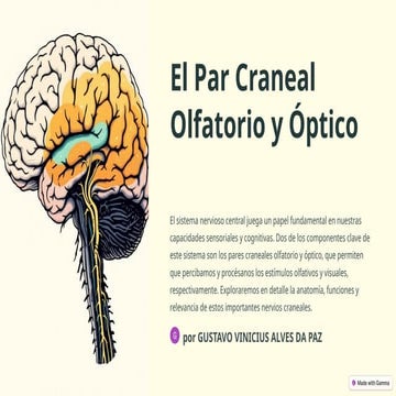 Primer_Par_Craneal_Nervio_Olfatorio.pptx