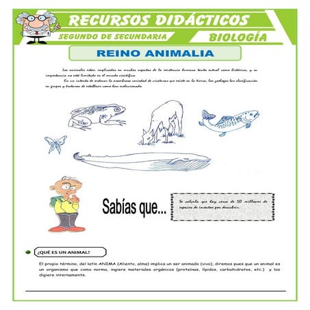REINO ANIMALIA