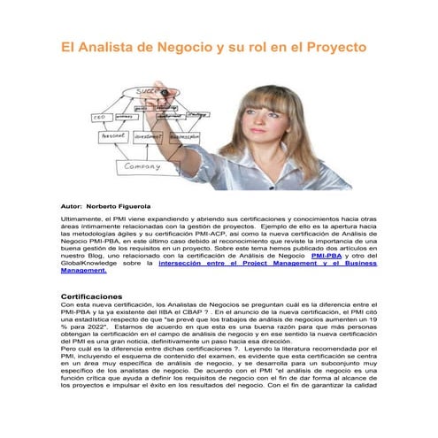 el rol del analista de negocios