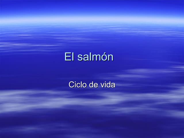El Salmon