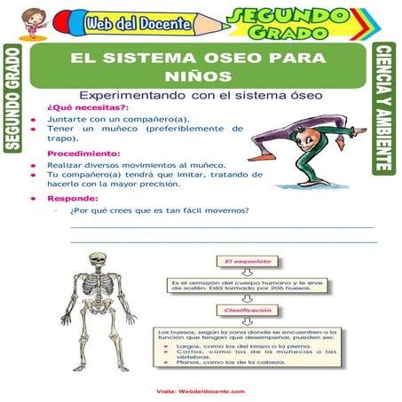 El sistema-oseo-para-niños-para-segundo-grado-de-primaria