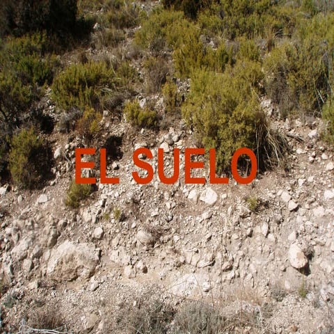 El Suelo