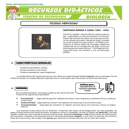 El tejido-nervioso-para-tercero-de-secundaria