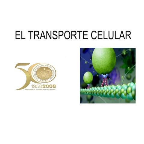 el transporte celular
