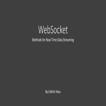 WebSocket