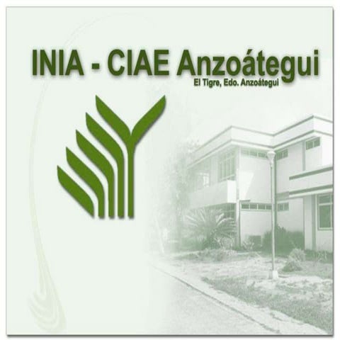 Elaboración de fertilizantes orgánicos bioles.ppt