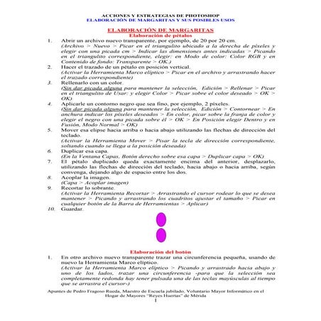 Elaboración de margaritas y sus posibles usos