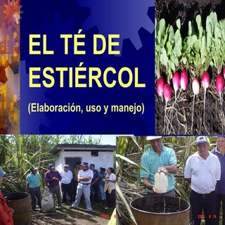 Elaboración de té de estiércol