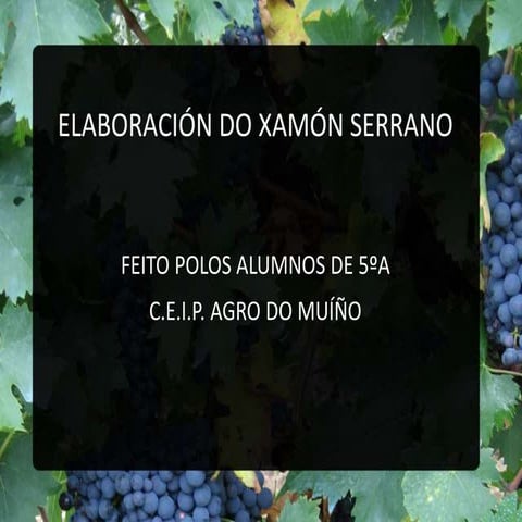 Elaboración do xamón serrano 