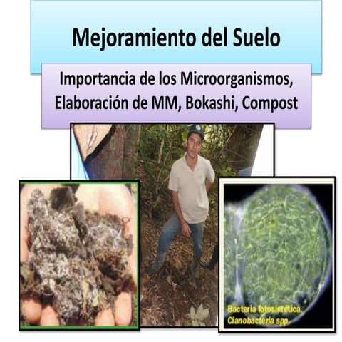 Elaboración de Microorganismos y bioles
