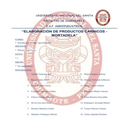   Elaboracion de productos carnicos - mortadela